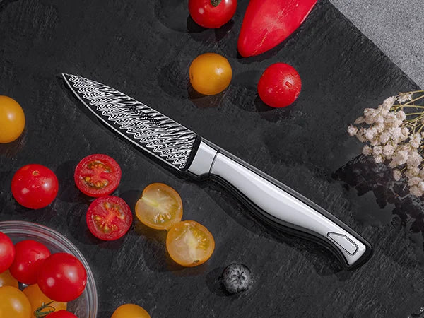 21-Piece Full Tang Knife Set - Silver