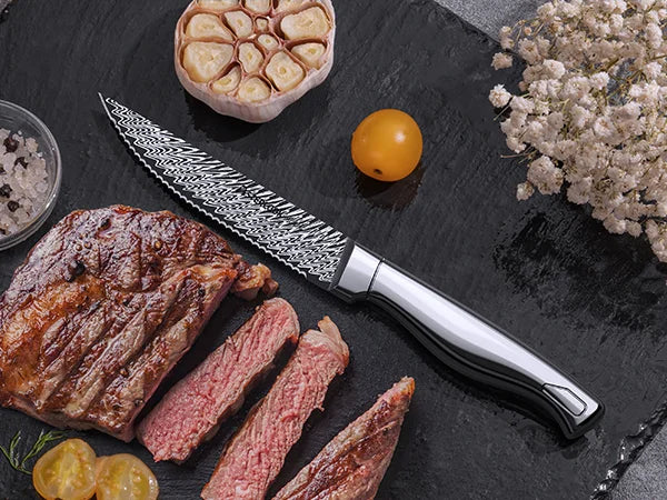 21-Piece Full Tang Knife Set - Silver