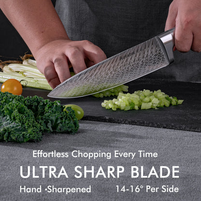 21-Piece Full Tang Knife Set - Silver