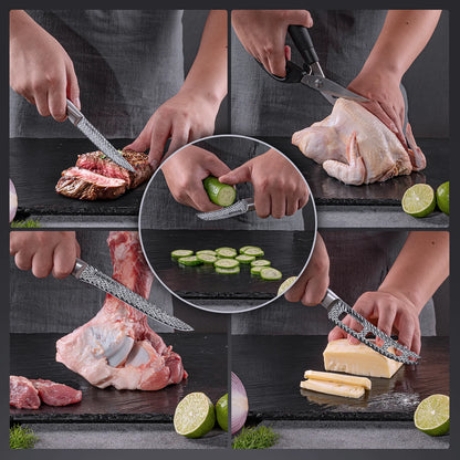 21-Piece Full Tang Knife Set - Silver
