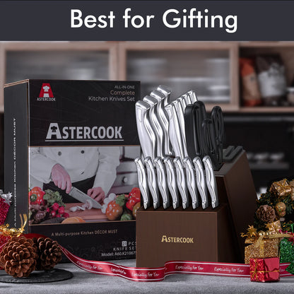 21-Piece Full Tang Knife Set - Silver